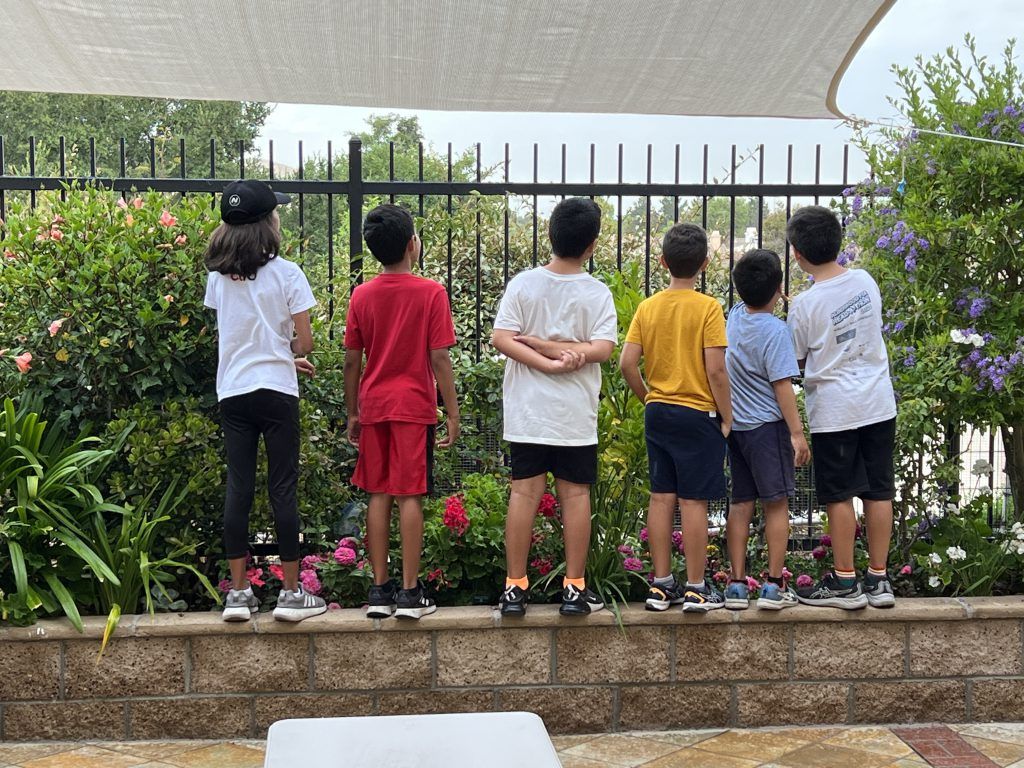 Six boys and girls who are exploring their interests_ look at the sky.