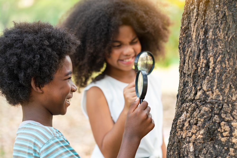 African American boy with friends exploring and looking bugs on the tree with the magnifying glass between learn beyond the classroom. Education outdoor concept.
