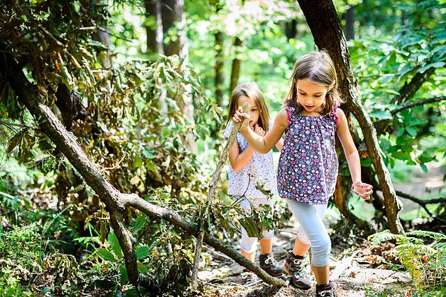 Children - identical twins girls are hiking in the mountains. Active family, parents and children mountaineering in the nature. Kids are walking in woods with walking sticks.